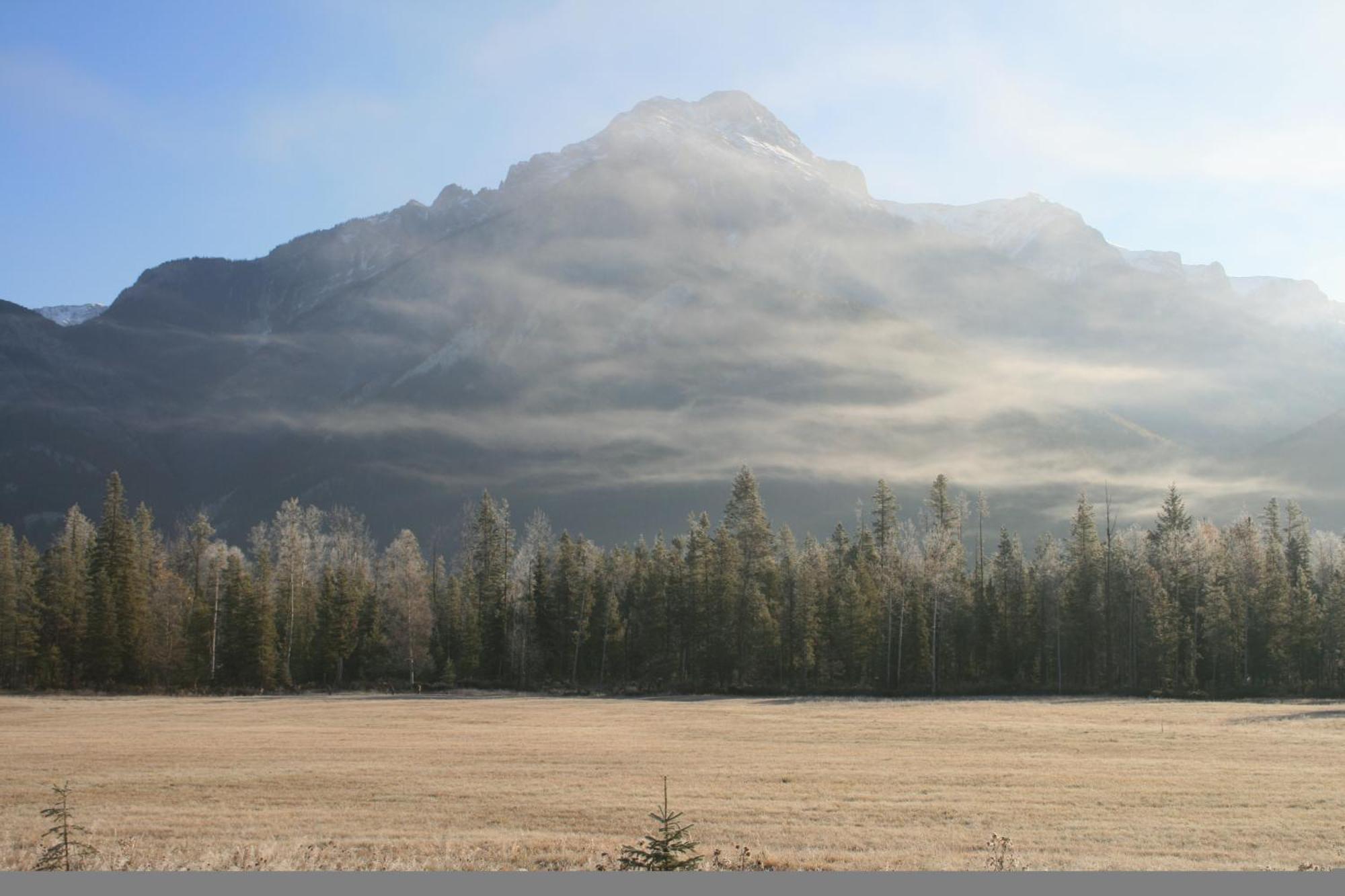 Rocky Mountain Cabins And Home ゴールデン エクステリア 写真